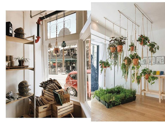 Colgadores de plantas Rame, soporte para macetas - Cuerda de algodón