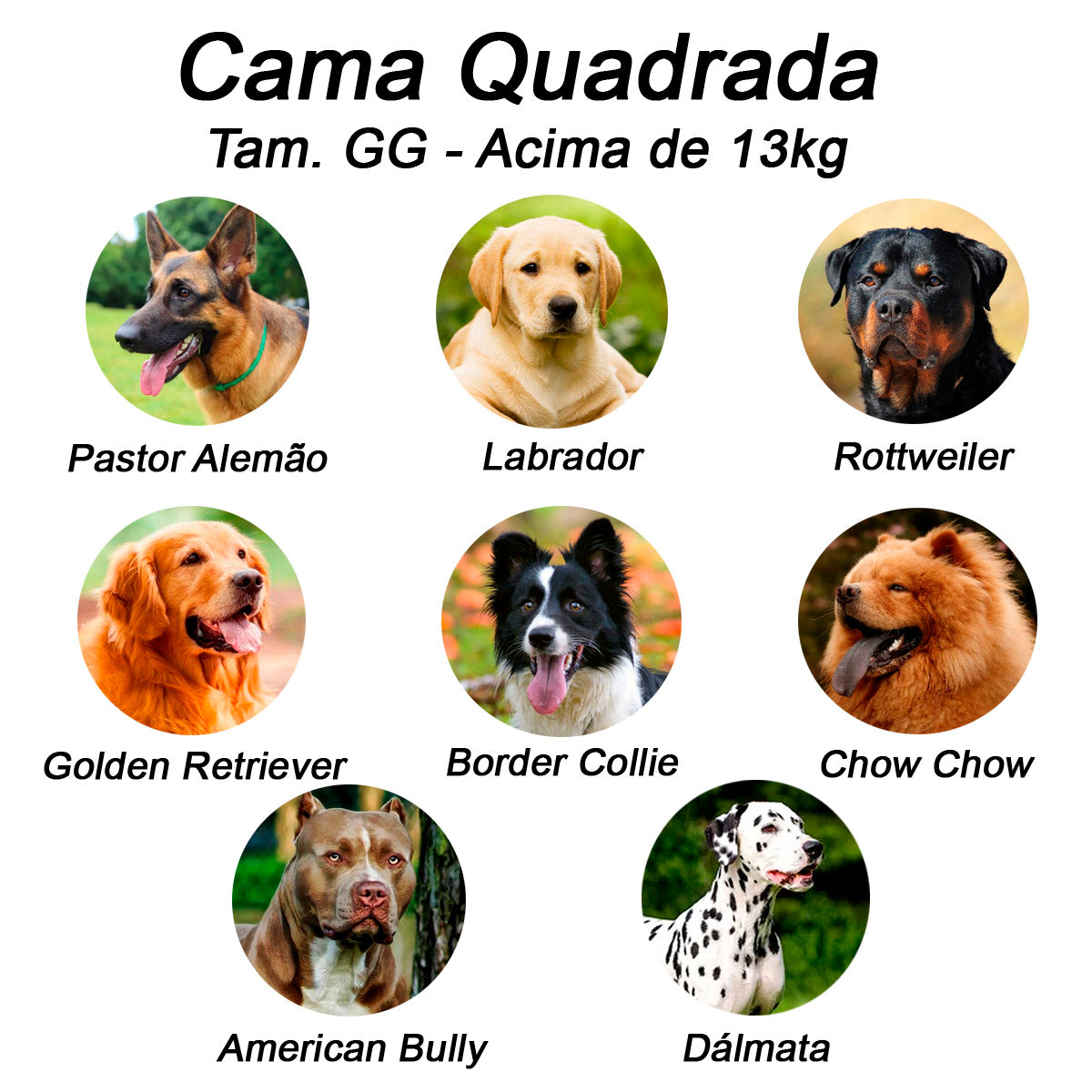 Cama para Cachorro Quadrada Impermeavel Luppet Azul Pets Tamanho:GG